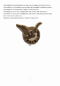 610 LES INSIGNES DE L ALAT EN AFN PAR CHRISTIAN MALCROS_000004